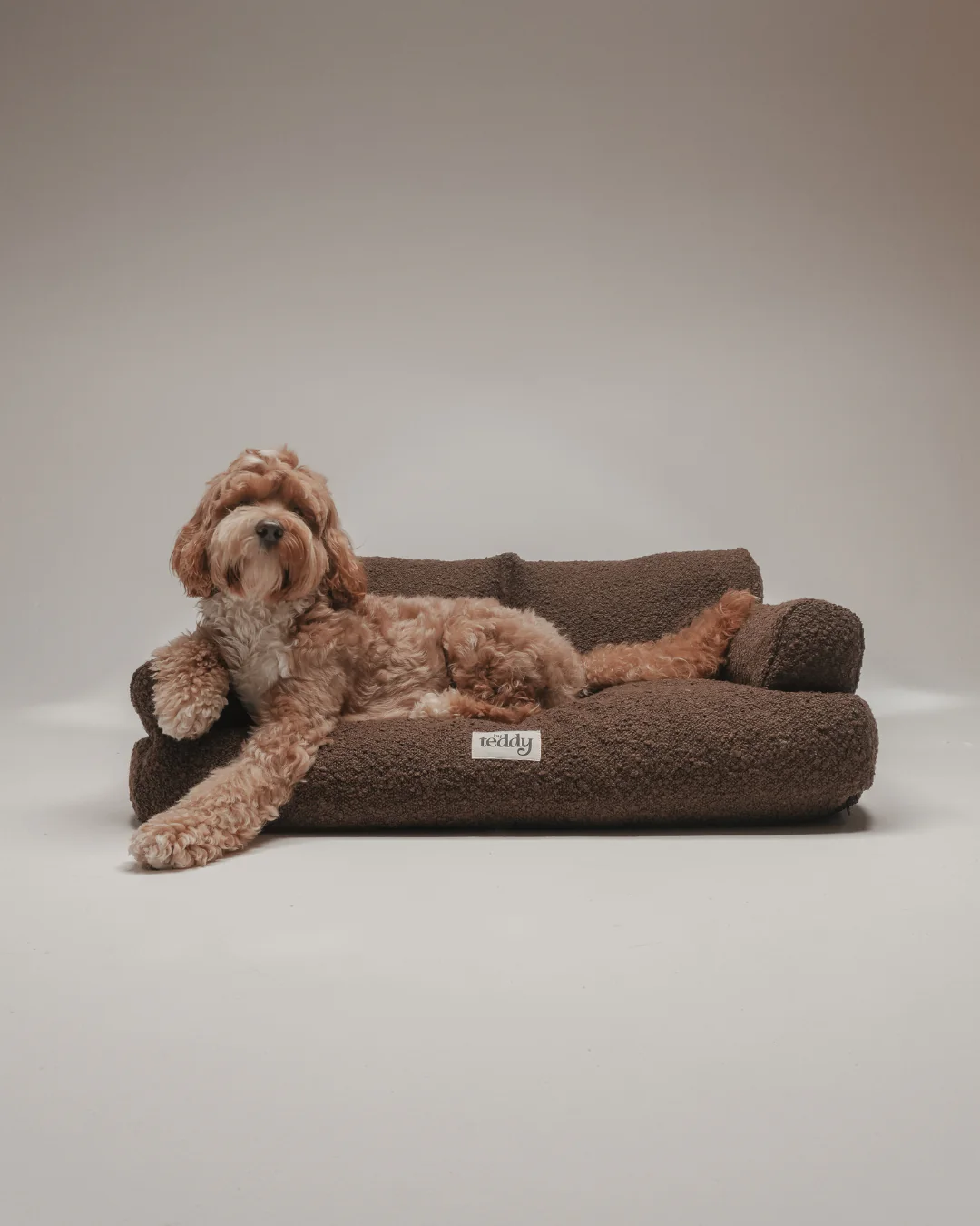 Timeless Style, Crafted for Comfort